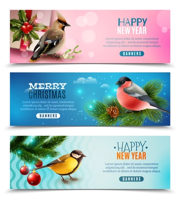 Set of horizontal banners with winter birds, spruce branches, holly, greetings on color backgrounds isolated vector illustration