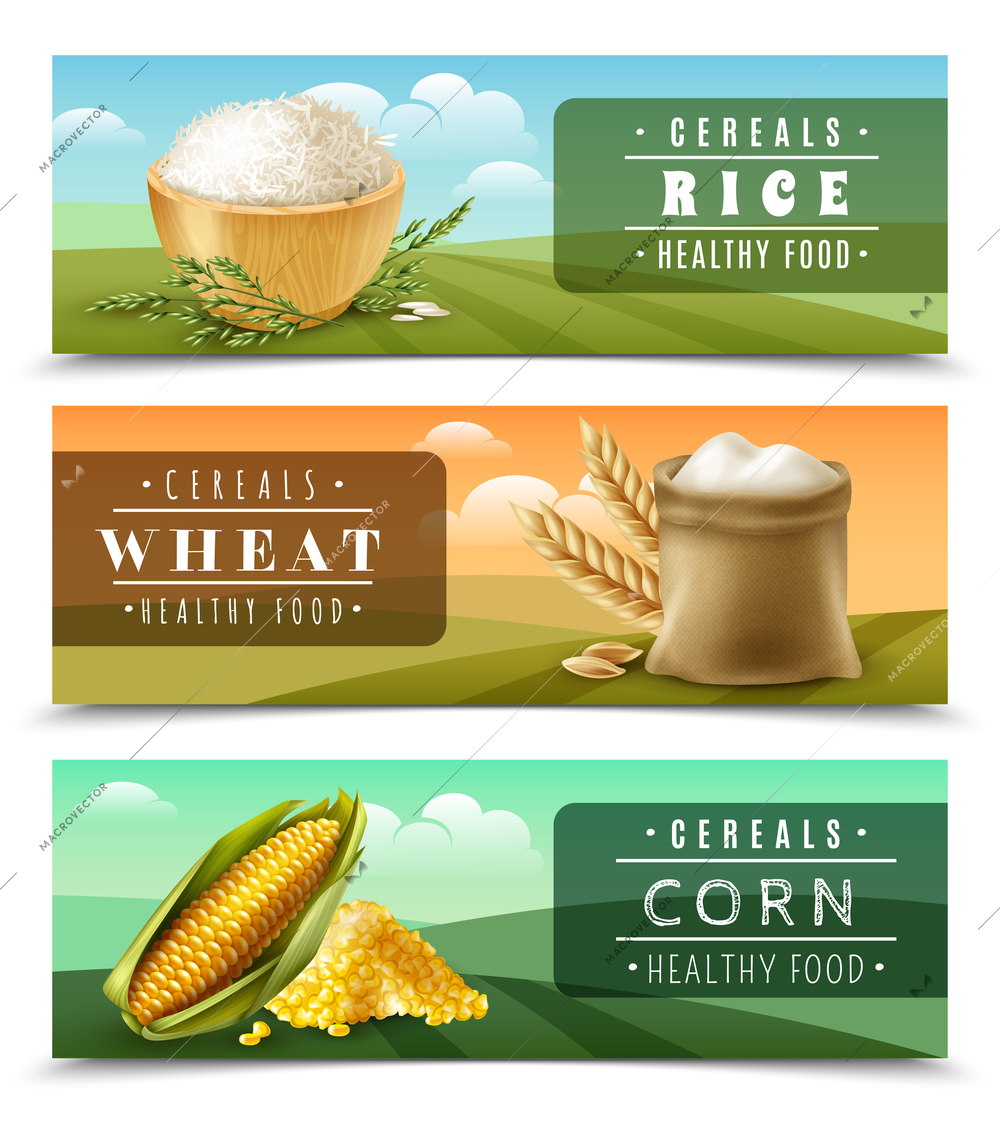 Three horizontal cereals banner set with rice wheat and corn healthy food descriptions vector illustration