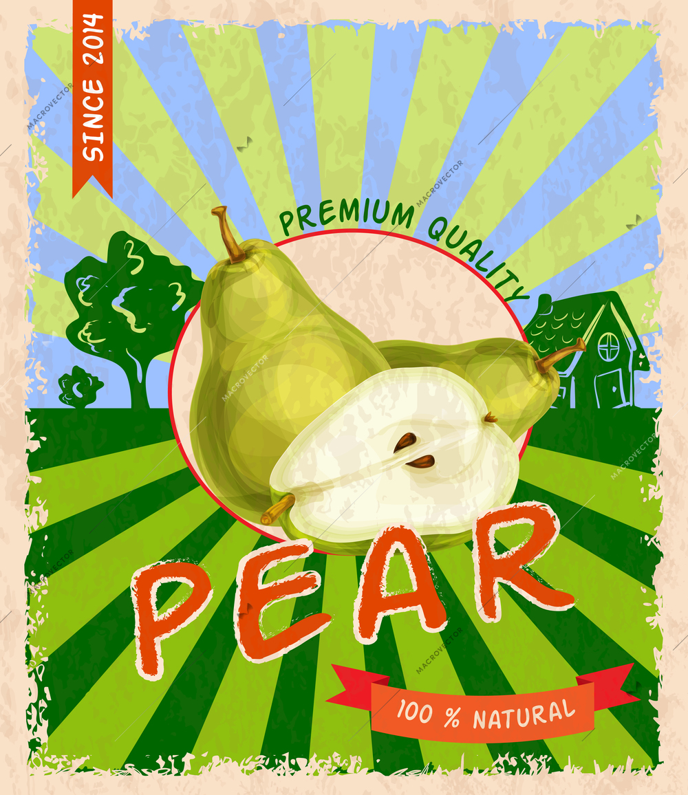 Sweet tasty garden pear premium quality retro poster vector illustration.