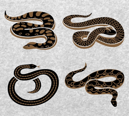 Black snakes set of reptiles with various ornaments on textured grey background isolated vector illustration