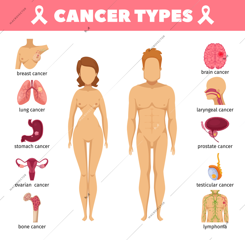 Cancer types set with breast lung stomach ovarian bone brain prostate testicular laryngeal isolated icons flat vector illustration