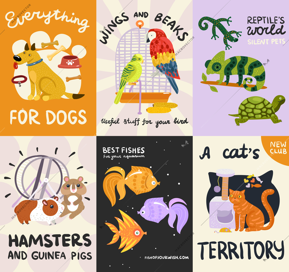 Pets posters and banners set with reptiles, fishes, stuffs for dog, cat, birds, rodents isolated vector illustration