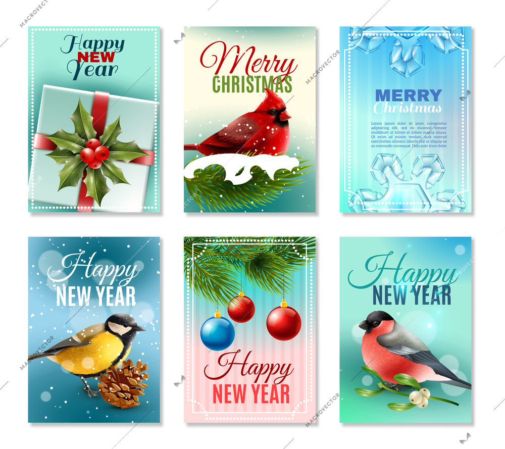 Set of christmas winter cards with birds, fir branches and berries, holiday decorations, snow isolated vector illustration