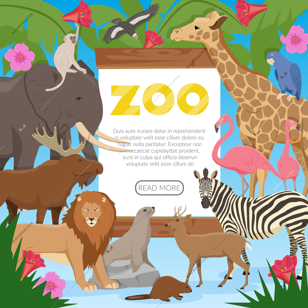 Zoo poster with cartoon collection of exotic wild animals inhabitants of tropical jungle savannah and tundra flat vector illustration