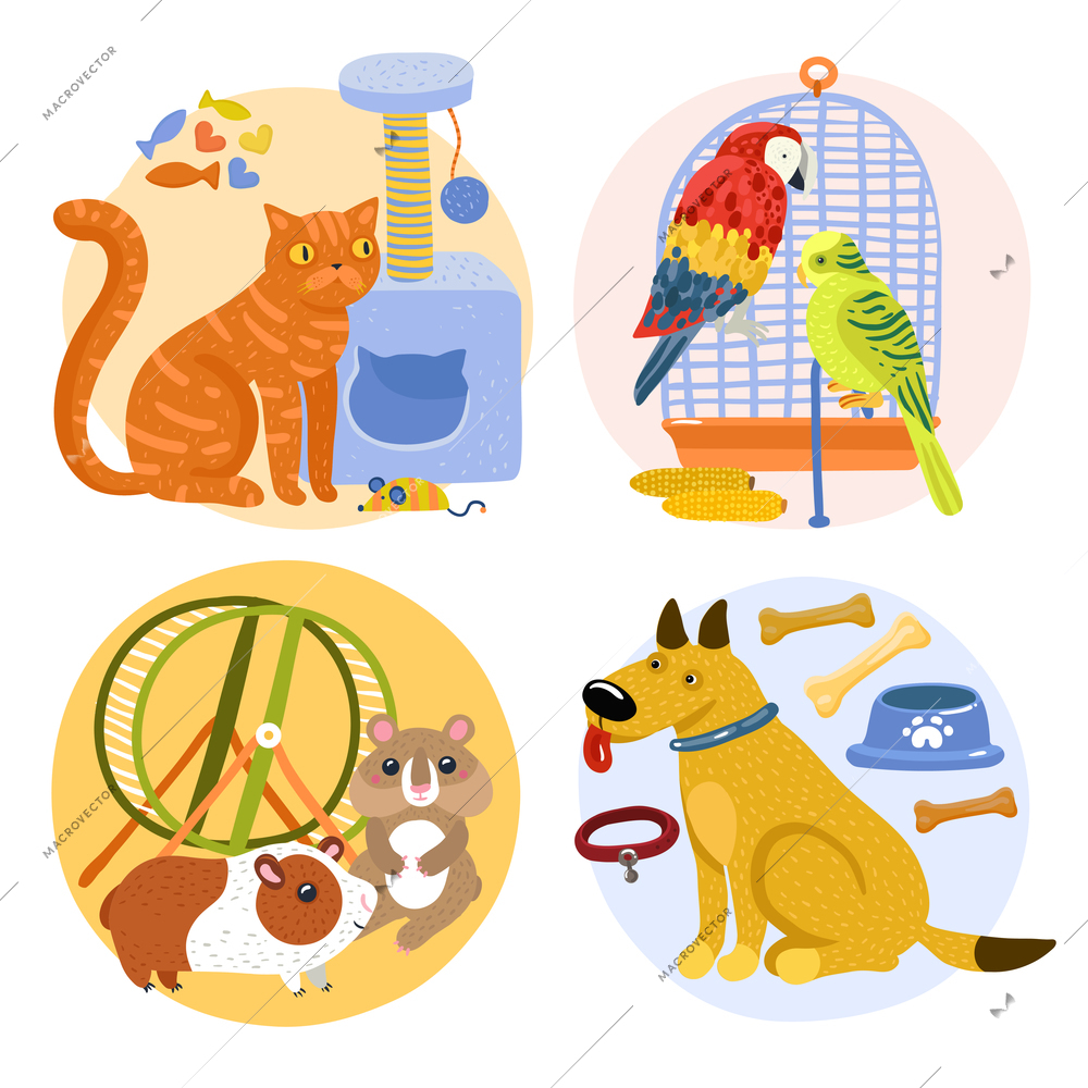 Pets design concept including cat with toy, parrots near birdcage, rodents, dog with bones isolated vector illustration