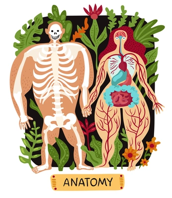 Doodle human anatomy set with funny male and female silhouettes on background with plants flat vector illustration