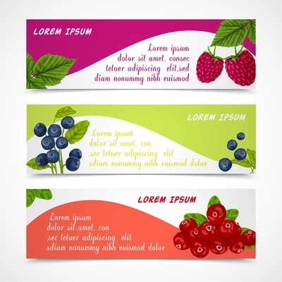 Natural organic forest berries banners set of raspberry blueberry cowberry design template vector illustration
