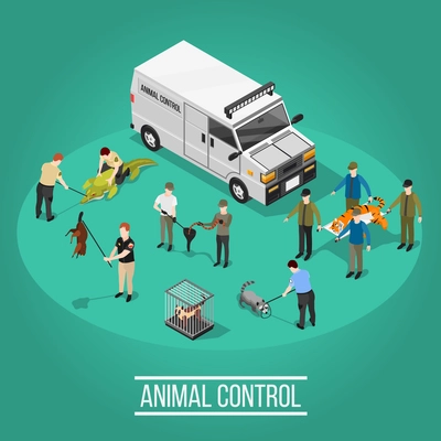 Wild animal control design concept with people figurines used in quantitative control catching and medical care isometric vector illustration