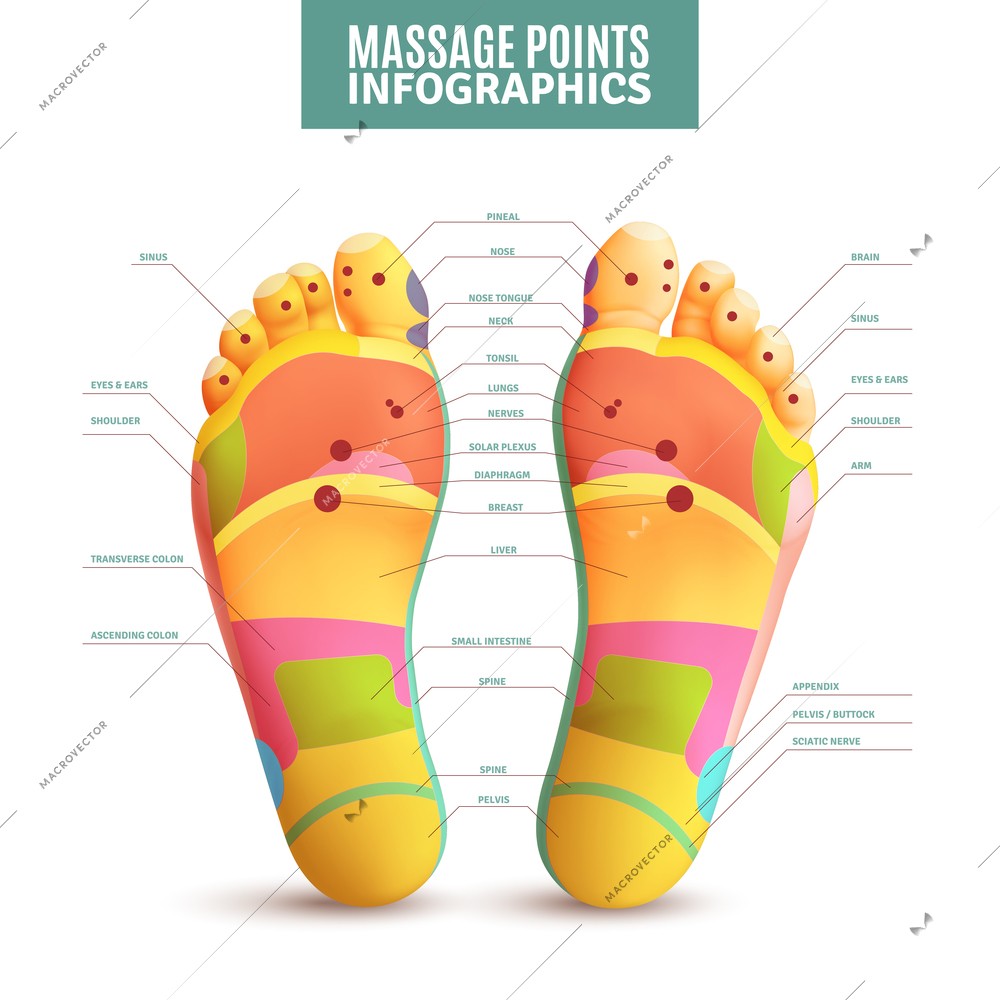 Feet massage points infographics with color scheme on soles and letterings on white background vector illustration