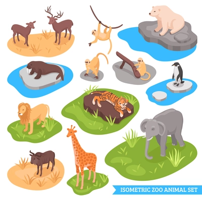 Isometric zoo decorative icons set of animals living in african arctic and asian wilderness isolated vector illustration