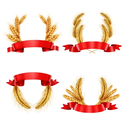 Set of realistic spikelet wreaths from wheat and barley with red glossy ribbons isolated vector illustration