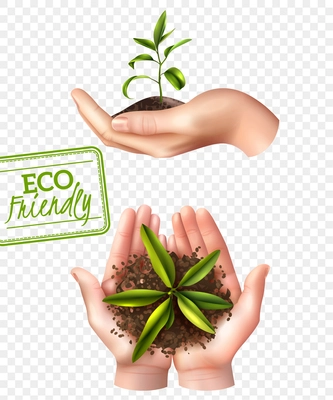 Ecology concept including lettering eco friendly, realistic female hands with sprout isolated on transparent background vector illustration