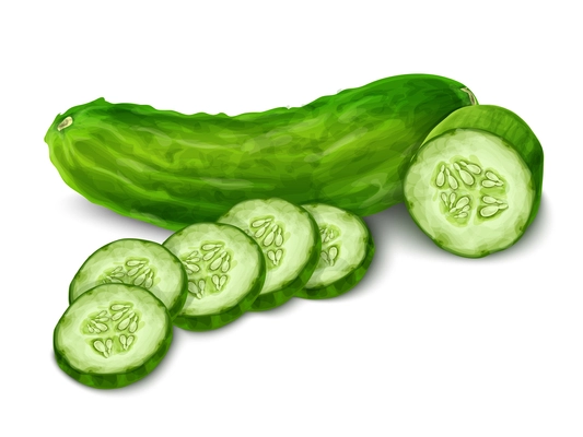 Vegetable organic food cucumber cut isolated on white background vector illustration