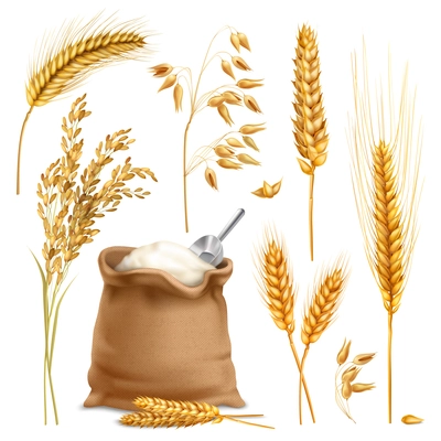 Set of realistic agricultural crops including rice, oats, wheat, barley, sack of flour isolated vector illustration