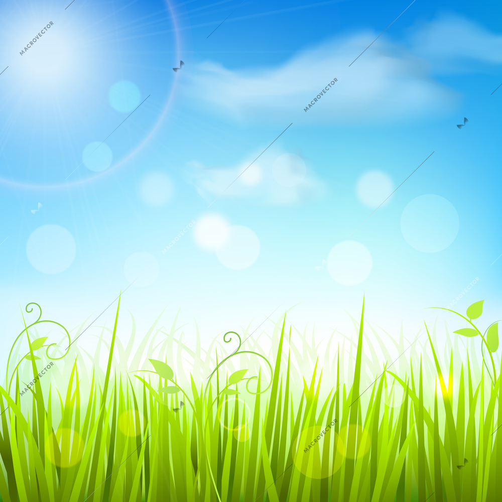 Fresh green spring meadow grass under the blue sky decorative background poster print vector illustration