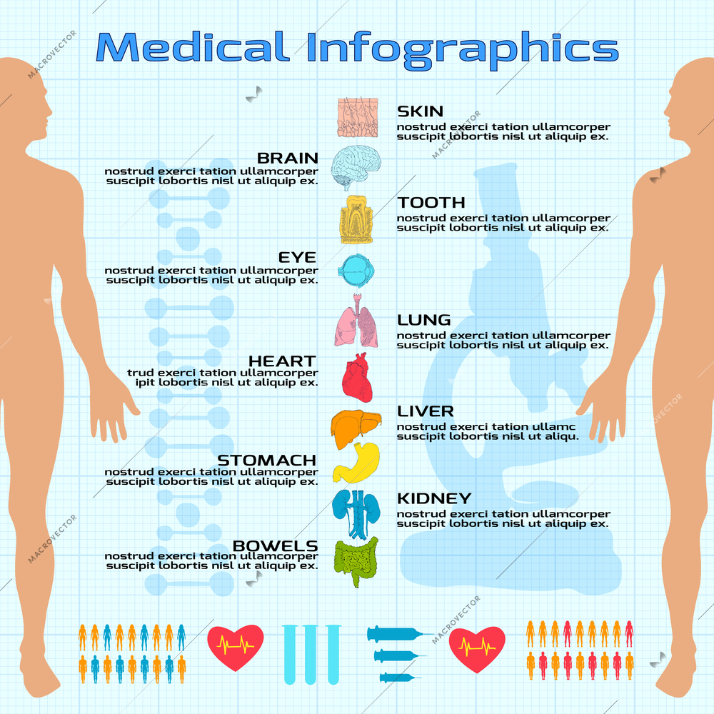 Flat medical infographics with human body silhouette and organs icons vector illustration