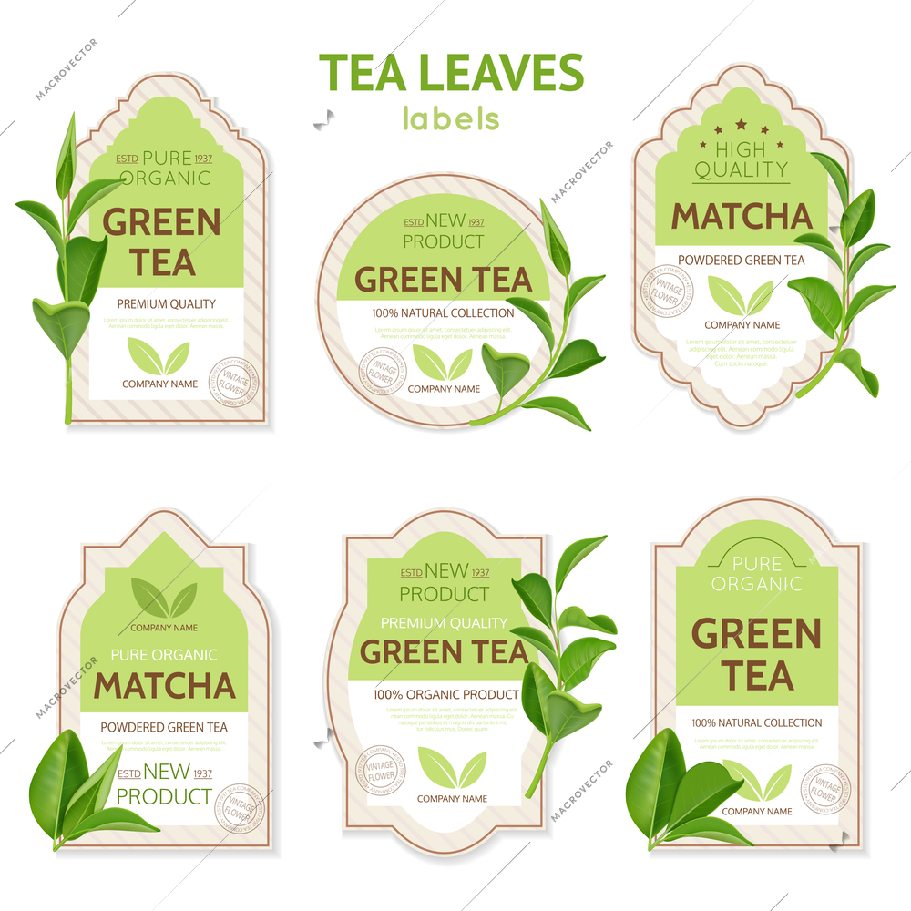 Set of labels of various shape with brand identity and realistic tea leaves isolated vector illustration