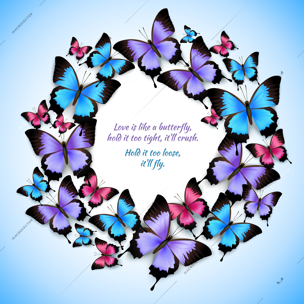 Decorative bright festive trendy colorful butterflies circle frame design pattern vector illustration