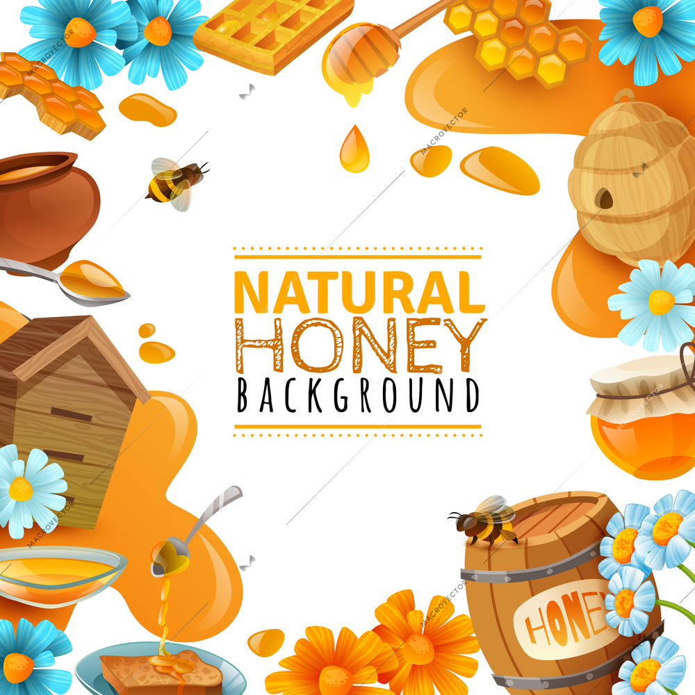 Honey cartoon colored frame with wild flowers bumble wooden cask  beehive  honeycomb vector illustration