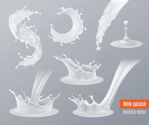 Set of realistic milk splashes of various shape with drops isolated on grey background vector illustration