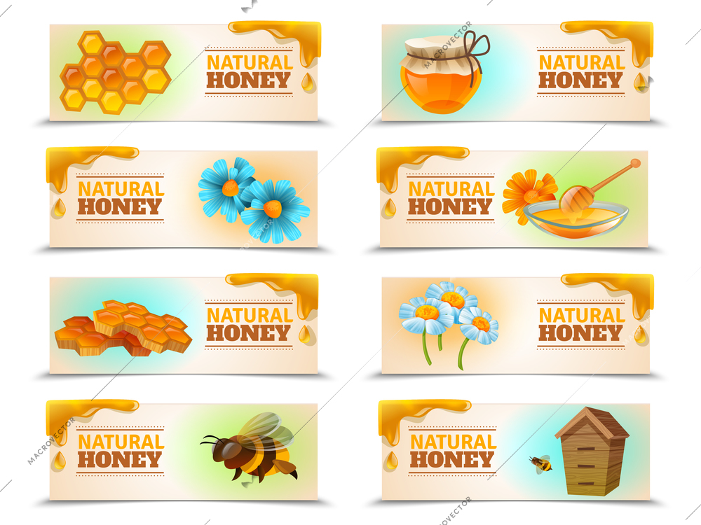 Natural honey set of horizontal banners with bees and hive, honeycombs, flowers isolated vector illustration