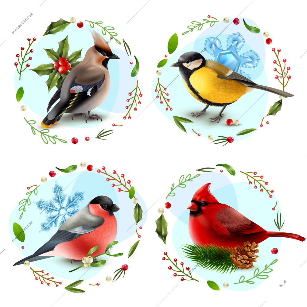 Design concept with winter birds, snowflakes, spruce branch, decorative frames from berries and leaves isolated vector illustration