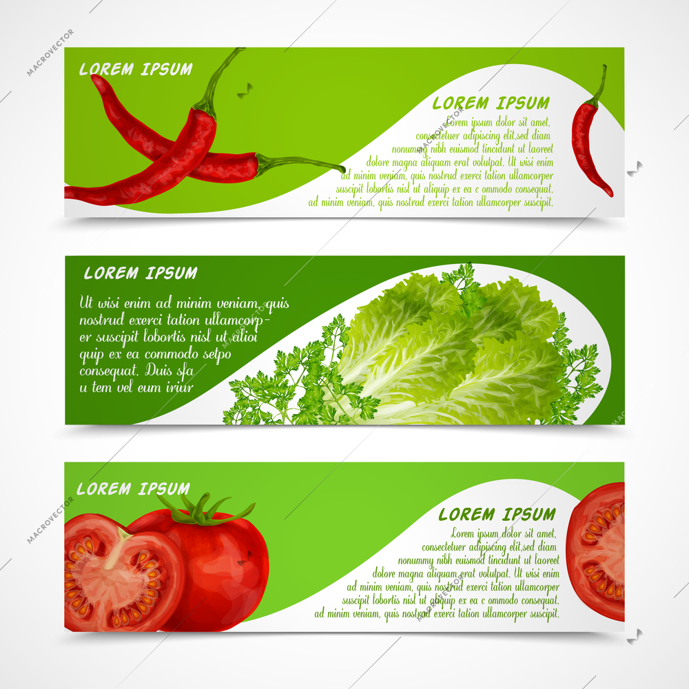 Vegetable organic food banners horizontal with chili pepper salad tomato isolated vector illustration