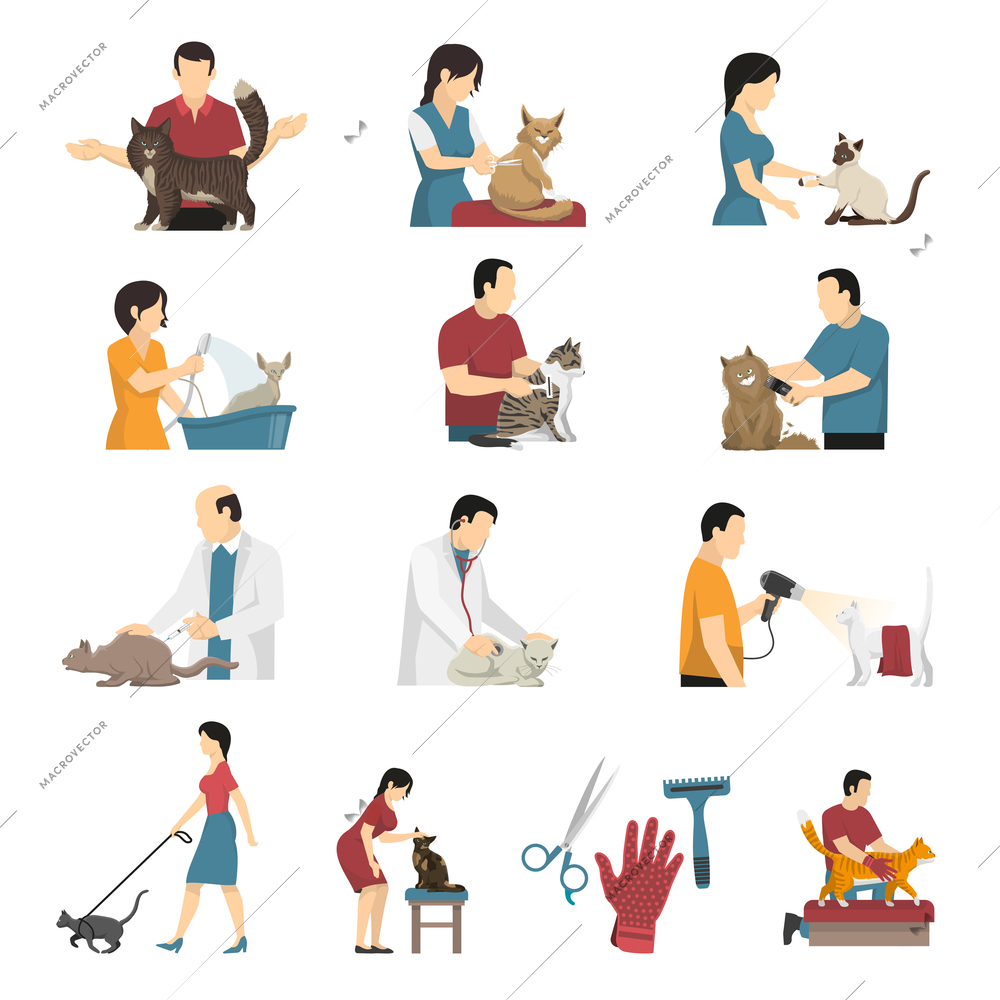 Grooming service vet cat set of flat isolated icons human characters animals and hairdresser equipment items vector illustration