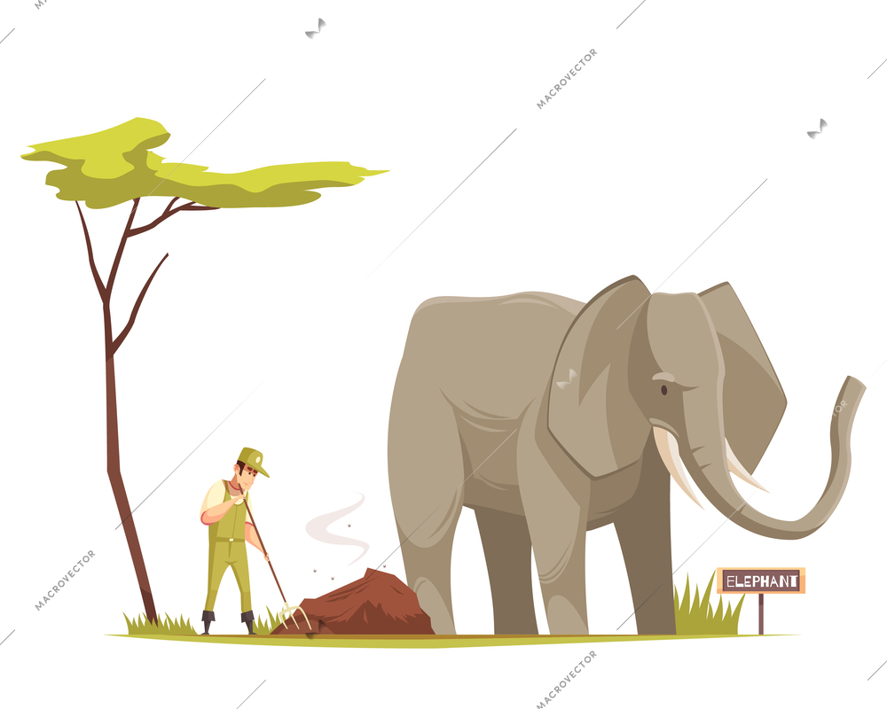 Elephant standing outdoor and zoo keeper at work  cleaning territory under tree cartoon composition vector illustration