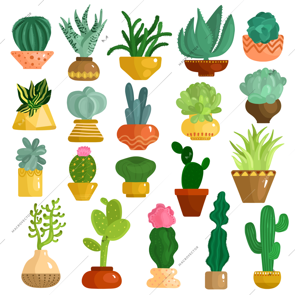 Cacti and succulents in pots flat icons collection with aloe agave kalanchoe opuntia euphorbia isolated vector illustration