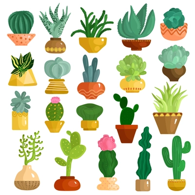 Cacti and succulents in pots flat icons collection with aloe agave kalanchoe opuntia euphorbia isolated vector illustration