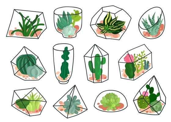 Succulents plants cacti decorative compositions in geometric transparent florariums containers flat icons set isolated vector illustration