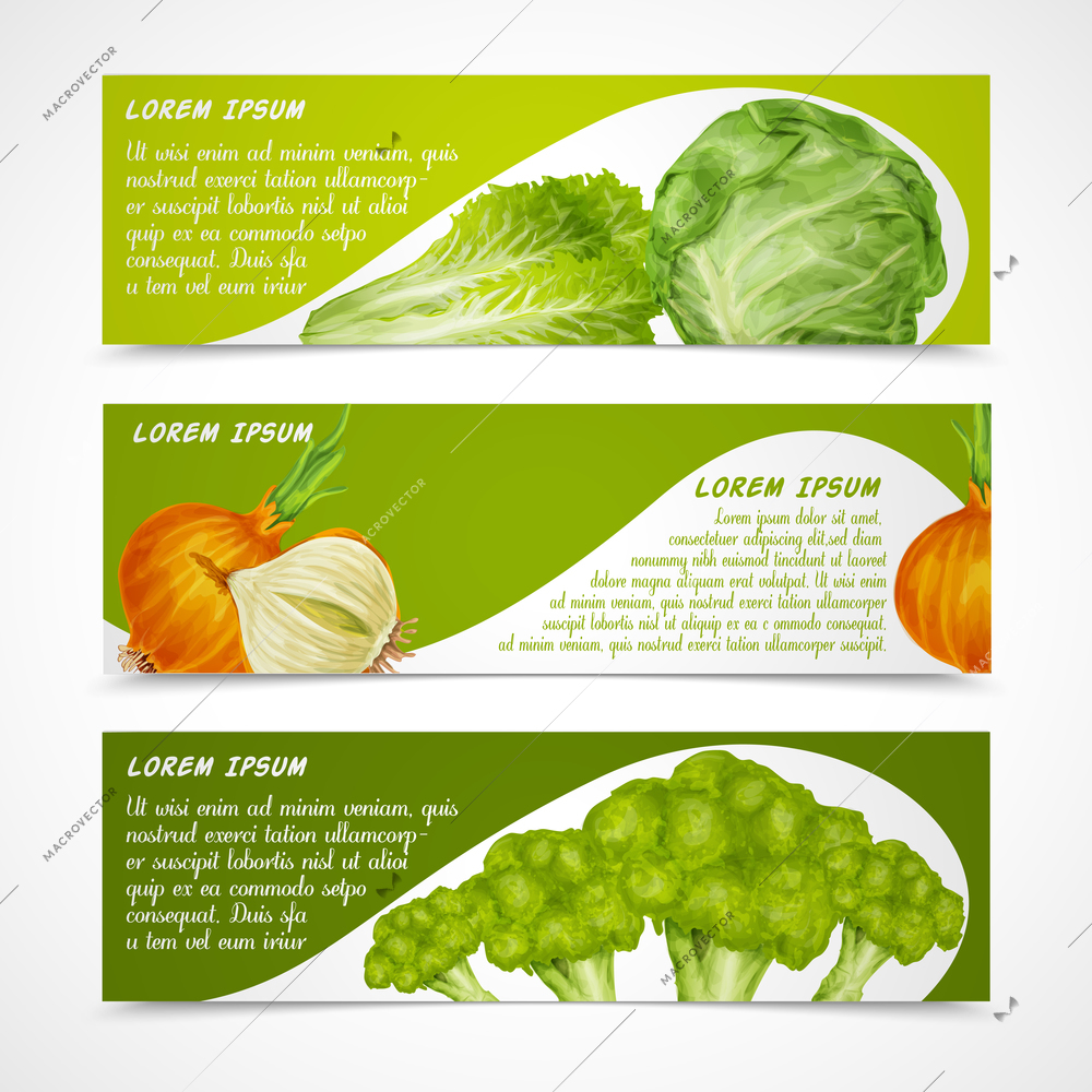 Vegetable organic food banners horizontal with salad onion broccoli isolated vector illustration.