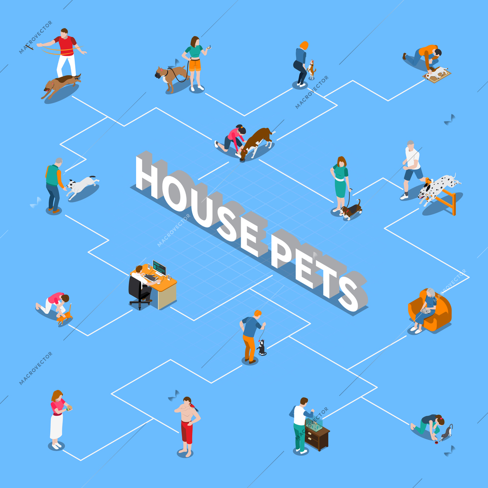 People spending time with their pets isometric flowchart on blue background 3d vector illustration