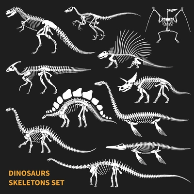 Dinosaurs skeletons isolated icons set on blackboard background in chalkboard style hand drawn vector illustration