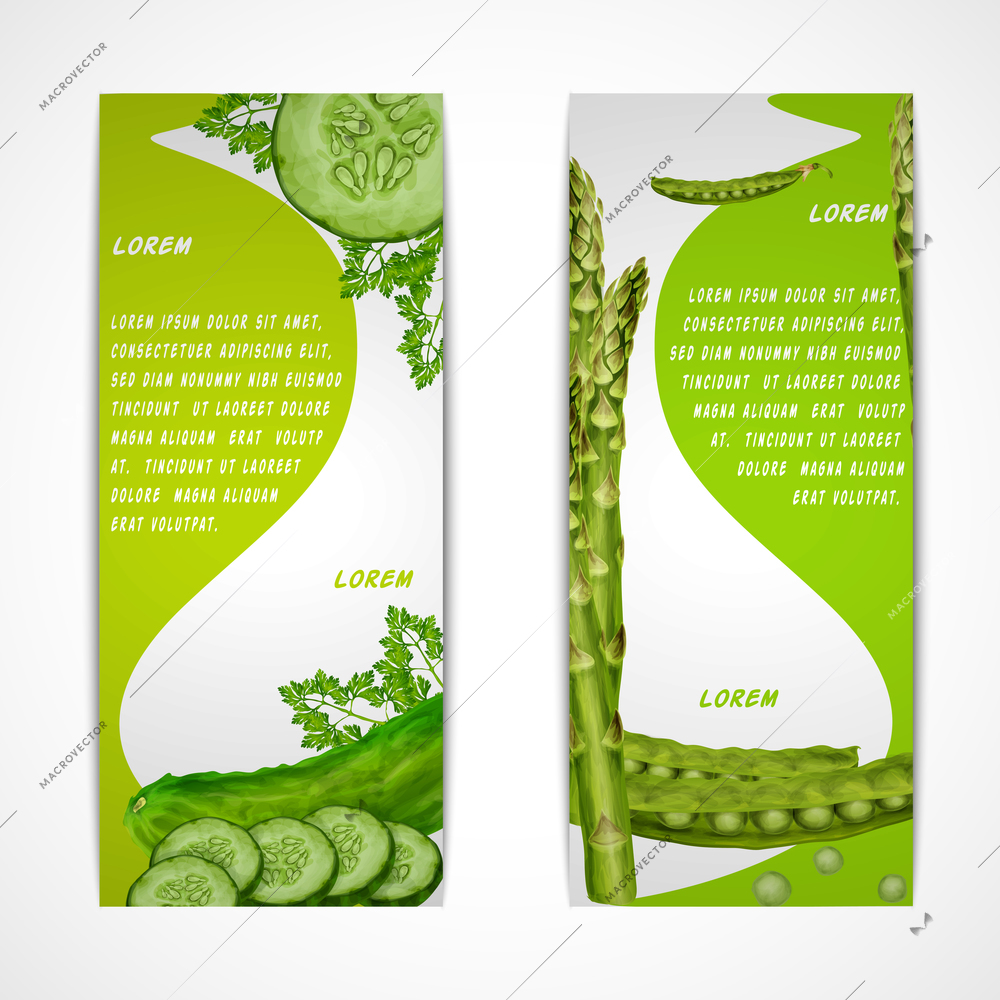 Green vegetable organic food vertical banners set with parsley peas cucumber isolated vector illustration