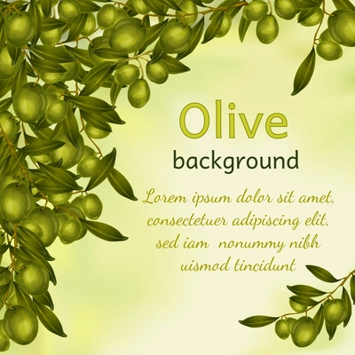 Organic natural food olive tree branch background vector illustration