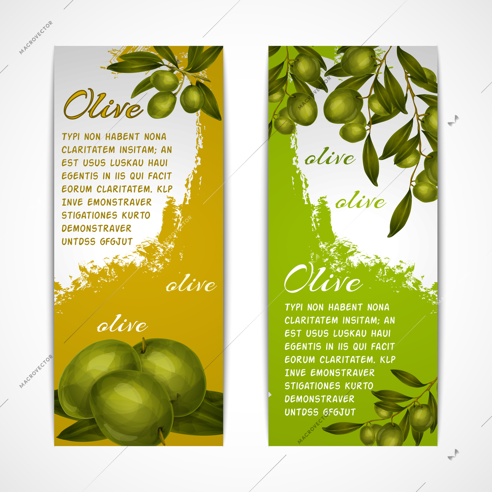 Green vegetable organic food olives vertical banners set isolated vector illustration