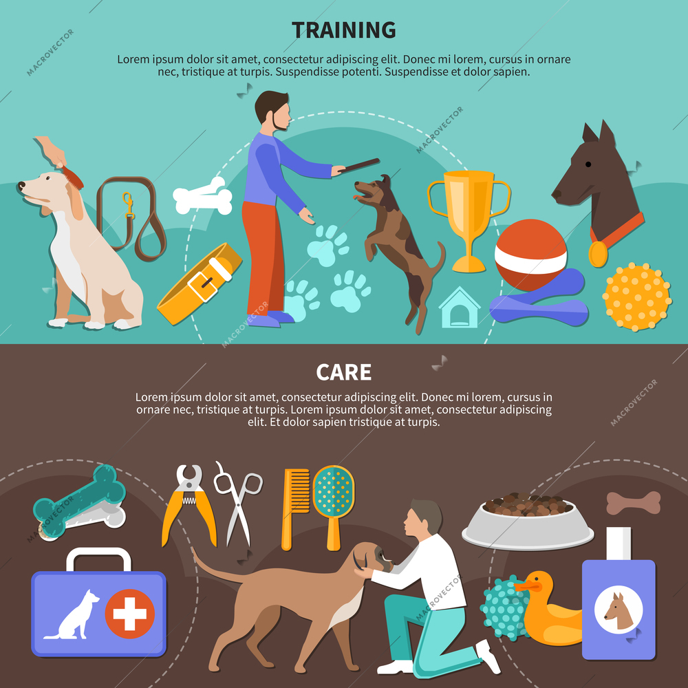 Dogs veterinary horizontal banners with flat images of training fetch prizes and vet equipment with text vector illustration