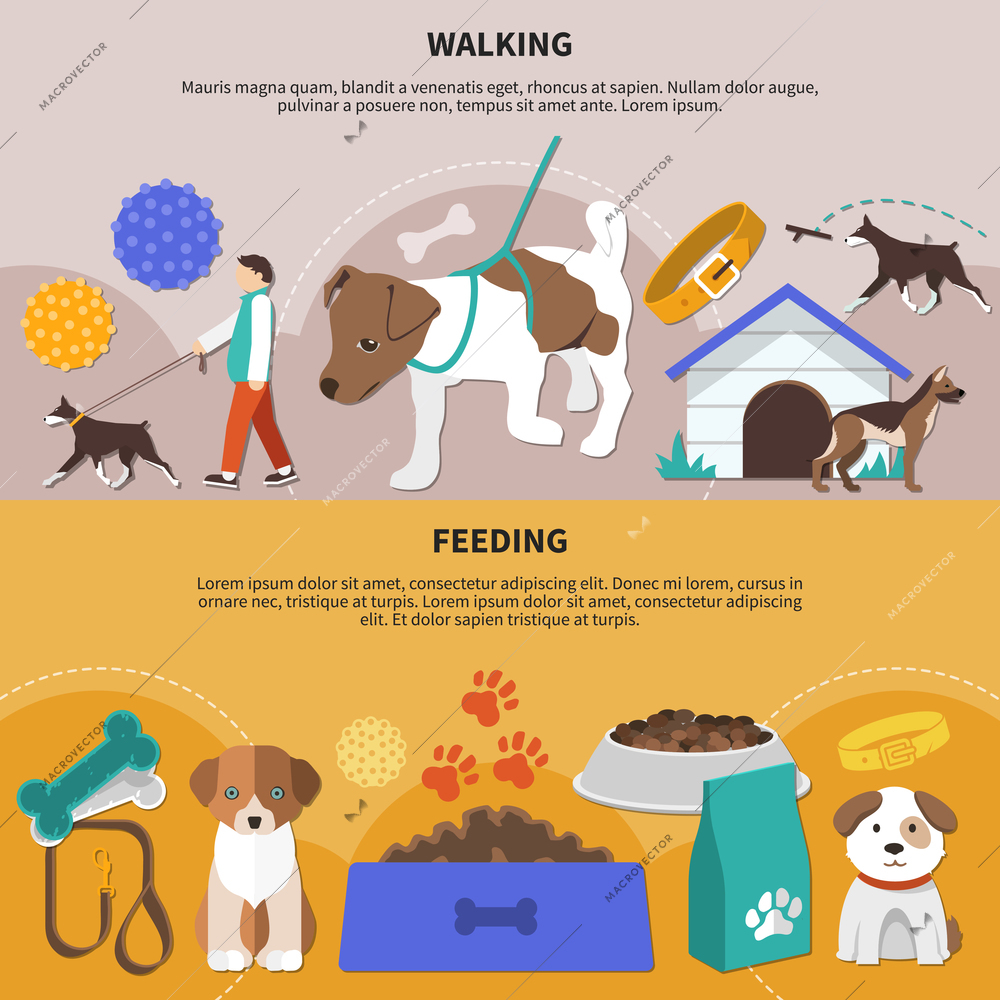 Set of two flat pictorial horizontal banners with dogs fetch walking and feeding accessories and products vector illustration