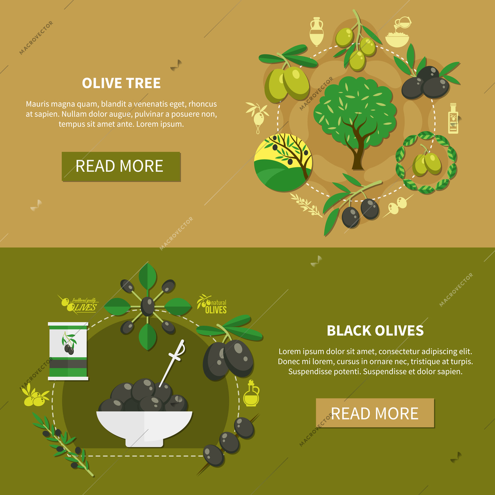 Set of horizontal banners with black olives and tree with green fruits isolated vector illustration