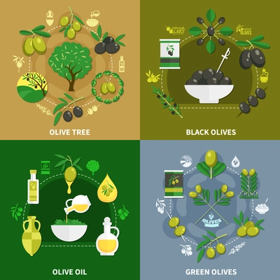 Flat design concept with green and black olives, tree, oil in jug and bottle isolated vector illustration