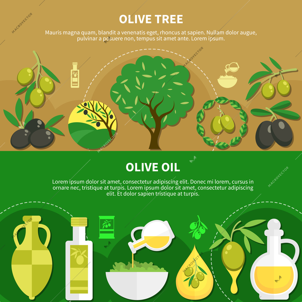 Set of horizontal banners with olive oil in various packaging, green tree with fruits isolated vector illustration