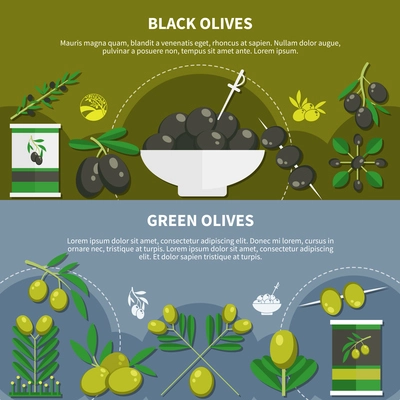 Set of horizontal flat banners with canned products from black and green olives isolated vector illustration