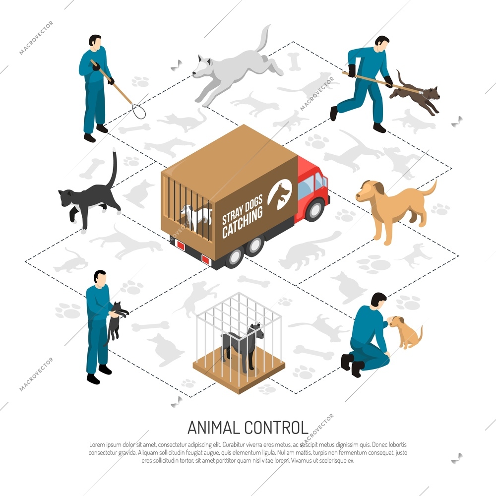 Animal control agency service isometric poster with officers catching and transporting dogs cats to shelters vector illustration