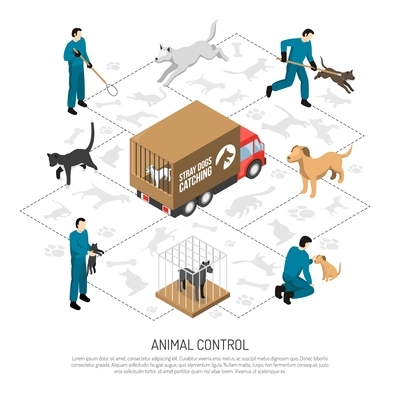Animal control agency service isometric poster with officers catching and transporting dogs cats to shelters vector illustration