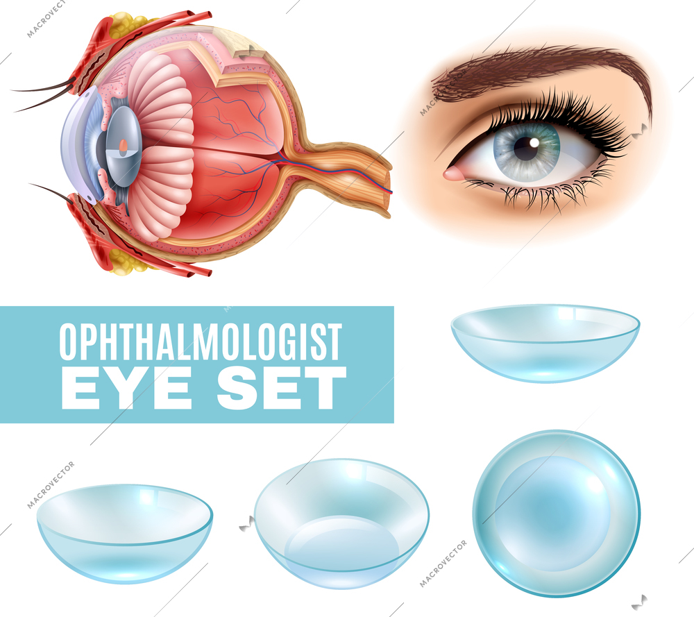 Ophthalmology realistic set of contact lens and human eye anatomy in side view isolated vector illustration