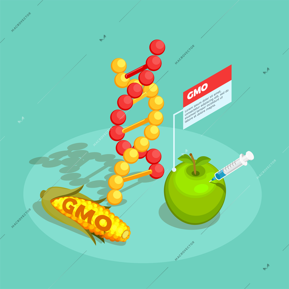 GMO food isometric composition on turquoise background with dna molecule, genetically modified corn and apple vector illustration