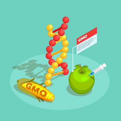 GMO food isometric composition on turquoise background with dna molecule, genetically modified corn and apple vector illustration