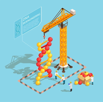 GMO bio engineering isometric composition on blue background with scientists during building of dna structure vector illustration